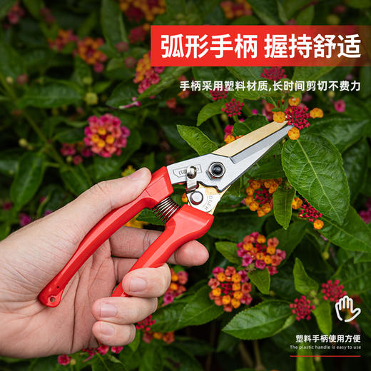 得力DL580242园艺剪套装2件套(红) 商品图1