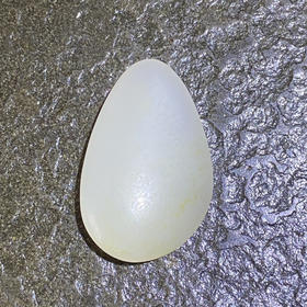 和田玉（白玉）籽料原石28g（价格面议）