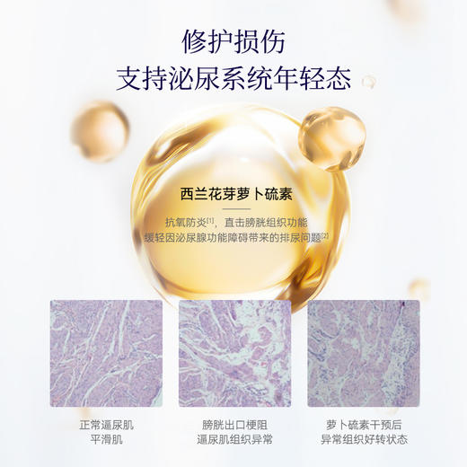 【保税仓发货】【御力维】 博奥真Bioagen 男性源力 生殖抗衰--熙墨爱经 商品图2