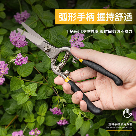 得力DL580241园艺剪套装2件套(黑) 商品图4