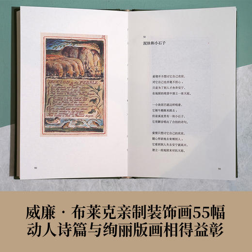 【6.3折起】一百年，许多人，许多事：杨苡口述自传 译林出版社 商品图1