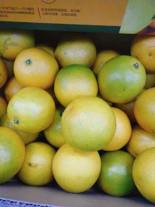 高原王子橙一箱（拼团） 商品图3