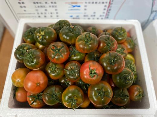 宁夏生态草莓番茄 | 宁夏乐乐树农场 商品图1