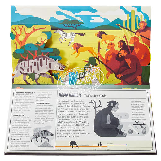 【中商原版】【法文版】疯狂史前（三折页立体书） 法文原版 Préhistomania Arnaud Roi & Bertrand Poissonnier 商品图6