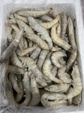 湛江青虾5kg 毛重5kg±200g/件
