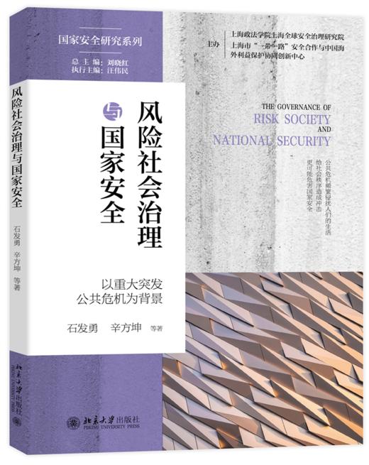 风险社会治理与国家安全：以重大突发公共危机为背景 石发勇 辛方坤 北京大学出版社 商品图0