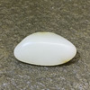 和田玉（白玉）籽料原石23g（价格面议） 商品缩略图2