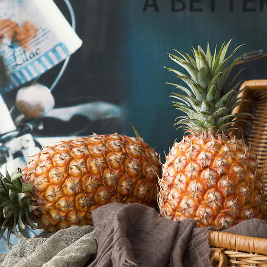 金钻凤梨  皮薄肉厚爽口化渣  酸酸甜甜纤维柔脆   清甜多汁   果肉细腻无渣   新鲜现摘 一件包邮 商品图3