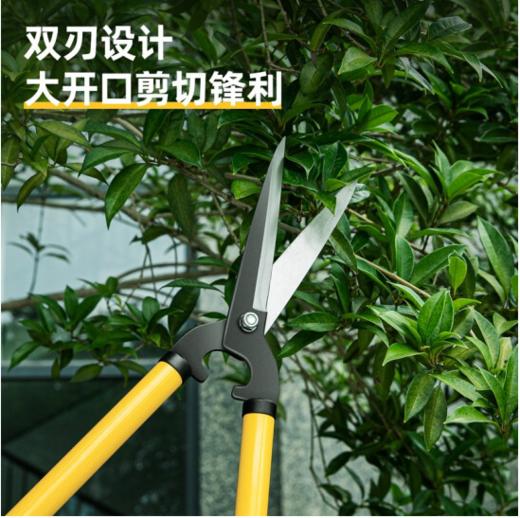 得力DL2804整篱剪21"(黄) 商品图5