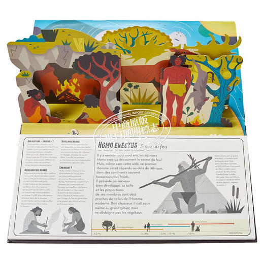 【中商原版】【法文版】疯狂史前（三折页立体书） 法文原版 Préhistomania Arnaud Roi & Bertrand Poissonnier 商品图7