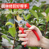 得力DL580242园艺剪套装2件套(红) 商品缩略图2