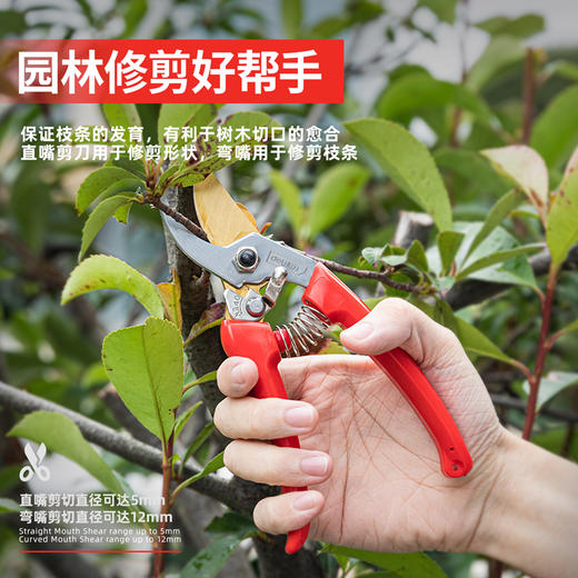 得力DL580242园艺剪套装2件套(红) 商品图2