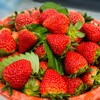 本地红颜草莓🍓（500g/盒） 商品缩略图6