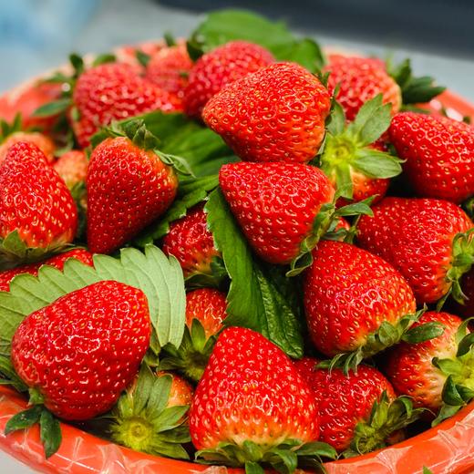 本地红颜草莓🍓（500g/盒） 商品图6