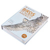 【中商原版】美国自然历史博物馆 北美鸟类 英文原版 DK-American Museum of Natural History Birds of North America 商品缩略图2