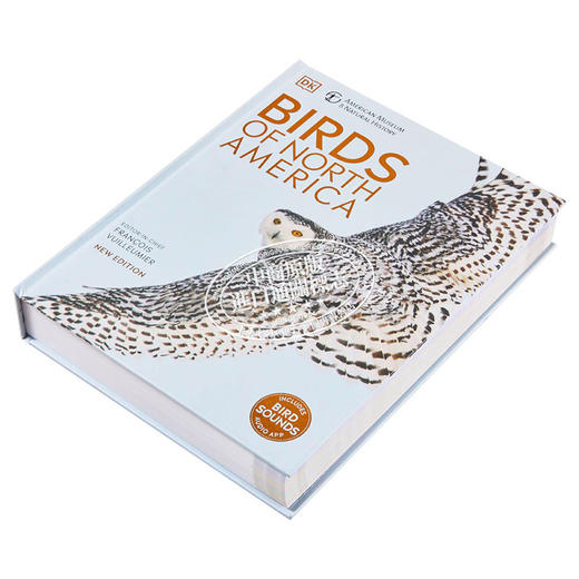 【中商原版】美国自然历史博物馆 北美鸟类 英文原版 DK-American Museum of Natural History Birds of North America 商品图2