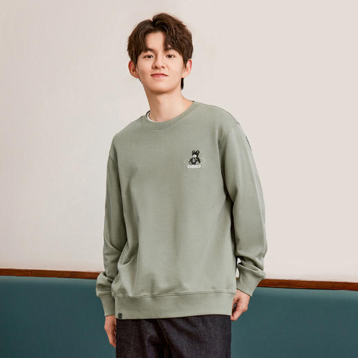 gxgjeans男装秋季热卖卫衣11D1310104F 商品图1