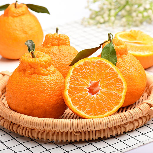 限时特价【四川·眉山】丑橘不知火 精选橘子大果 当心新鲜橘子水果 商品图10