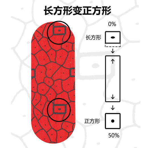 5cm*5m肌内效贴布 商品图3