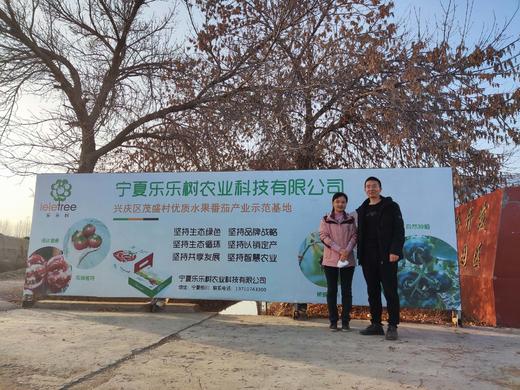 宁夏生态草莓番茄 | 宁夏乐乐树农场 商品图3