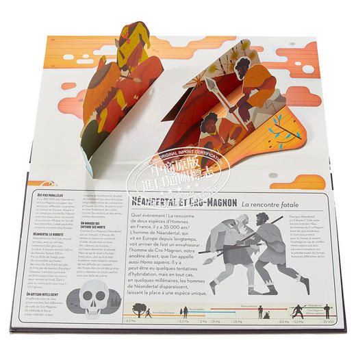 【中商原版】【法文版】疯狂史前（三折页立体书） 法文原版 Préhistomania Arnaud Roi & Bertrand Poissonnier 商品图8
