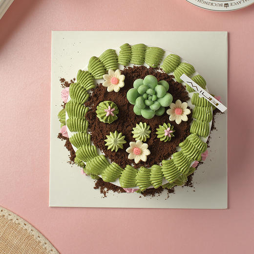 多肉花园芒果椰奶蛋糕 商品图1