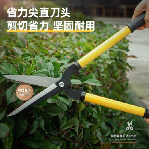 得力DL2804整篱剪21"(黄) 商品图4