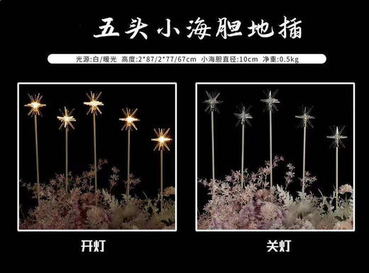 五头小海胆地插【运费自理】 商品图0