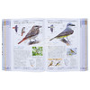 【中商原版】美国自然历史博物馆 北美鸟类 英文原版 DK-American Museum of Natural History Birds of North America 商品缩略图8