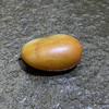 和田玉（白玉）籽料原石22g（价格面议） 商品缩略图2