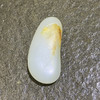 和田玉（白玉）籽料原石49g（价格面议） 商品缩略图4