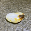 和田玉（白玉）籽料原石17g（价格面议） 商品缩略图2