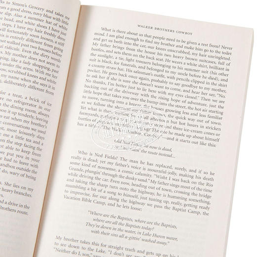 【中商原版】艾丽斯 芒罗 故事选集 第一卷 1968-1994年 2013年诺贝尔文学奖得主 英文原版 Selected Stories Alice Munro 商品图3