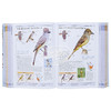 【中商原版】美国自然历史博物馆 北美鸟类 英文原版 DK-American Museum of Natural History Birds of North America 商品缩略图6