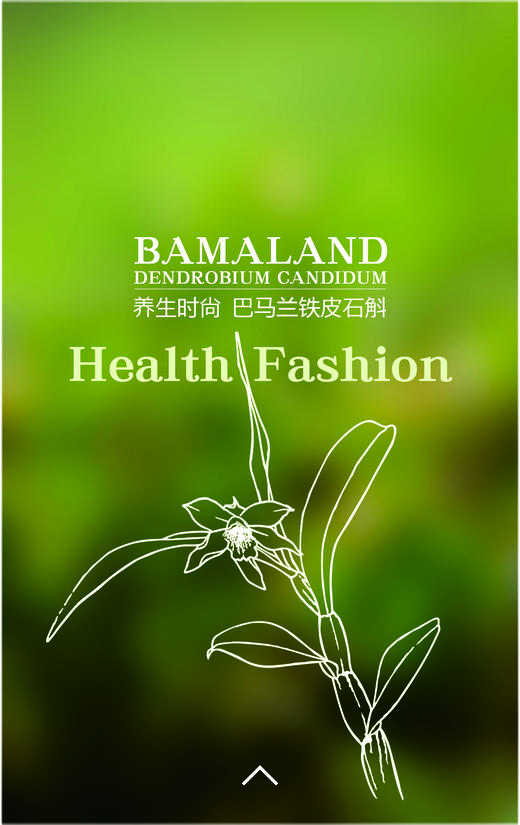 【青蛇送福/新年佳礼】巴马兰石斛非遗文创金冰粉礼盒 商品图9