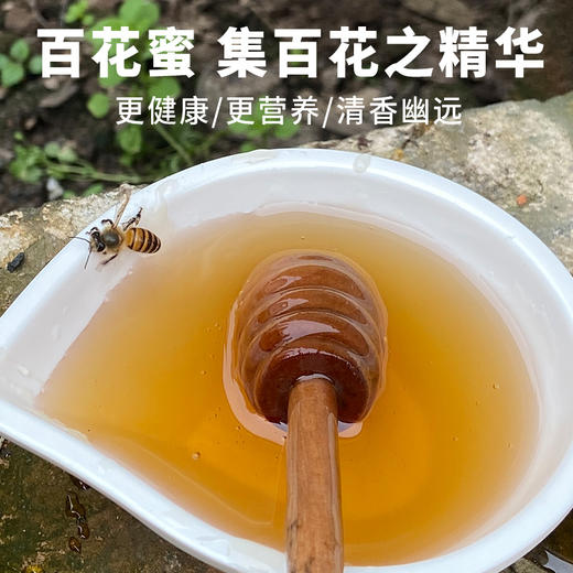 【消费帮扶】安徽泾县【谷岚山|百花蜜】500g/瓶 深山采集 原生态好蜂蜜 商品图1