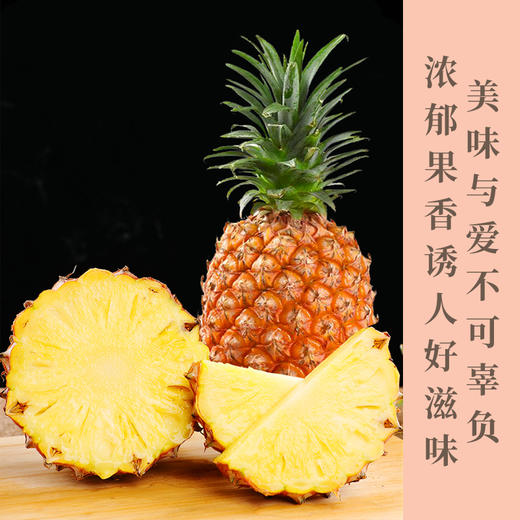 金钻凤梨  皮薄肉厚爽口化渣  酸酸甜甜纤维柔脆   清甜多汁   果肉细腻无渣   新鲜现摘 一件包邮 商品图0