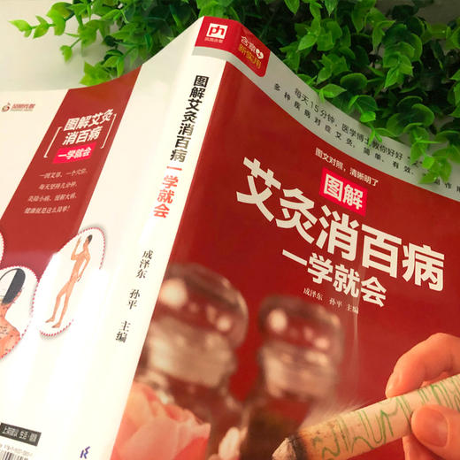生活新实用系列 图解艾灸消百病一学就会 成泽东等 著 养生保健 商品图1