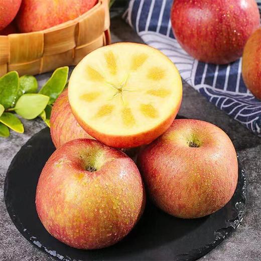新疆阿克苏冰糖心苹果|水果 商品图1