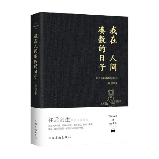 我在人间凑数的日子 段段 著 文学 商品图0