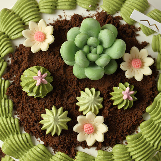 多肉花园芒果椰奶蛋糕 商品图3