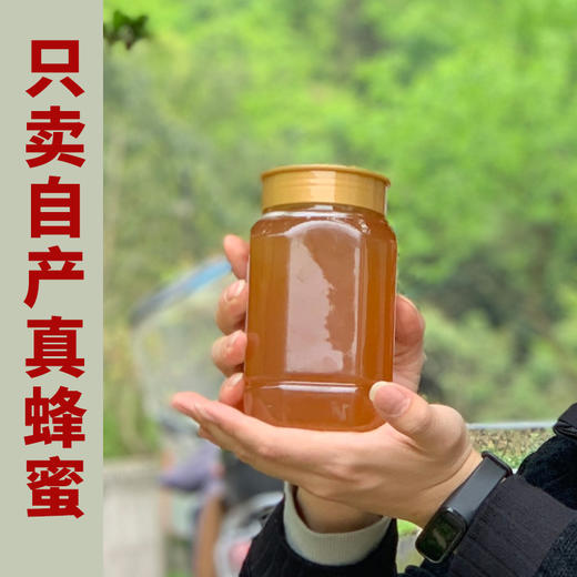【消费帮扶】安徽泾县【谷岚山|百花蜜】500g/瓶 深山采集 原生态好蜂蜜 商品图3