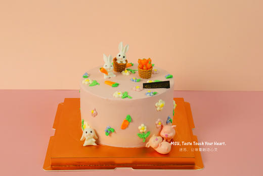 宝宝周年蛋糕（猪猪，兔兔，小王子，安妮公主，米奇） 商品图2