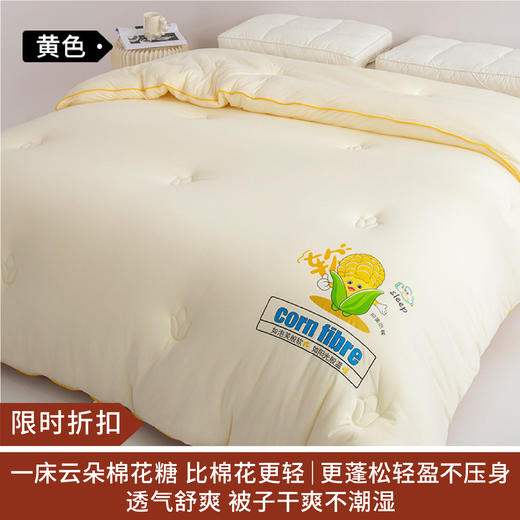 【限时折扣】新款生物基玉米软软被 商品图0