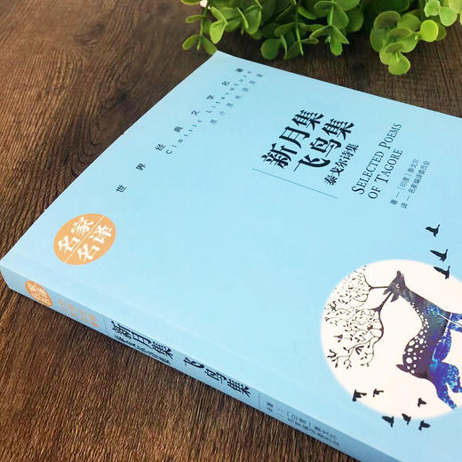 新月集 飞鸟集 泰戈尔诗集  商品图0