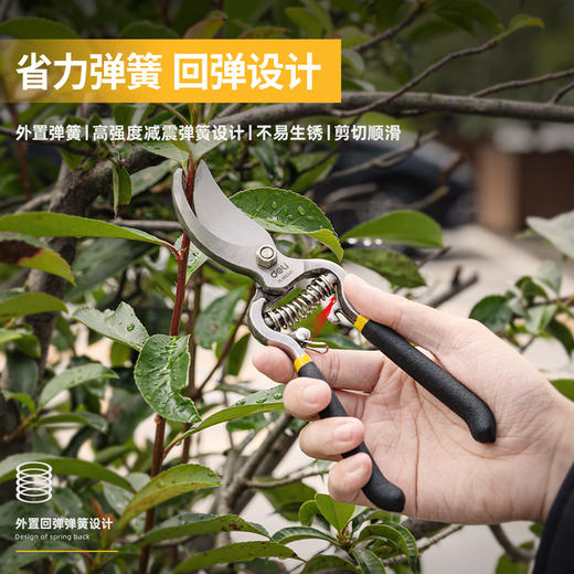 得力DL580241园艺剪套装2件套(黑) 商品图2