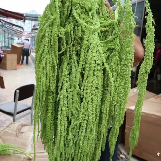 吊米绿 商品图0