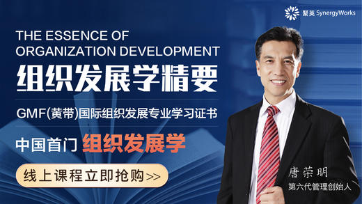 中国首门组织发展学课程 —【组织发展学精要】 商品图0