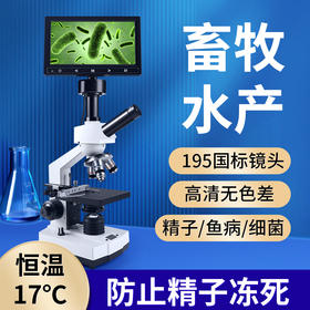 1600倍带显示屏显微镜 195国标镜头 高清无色差
