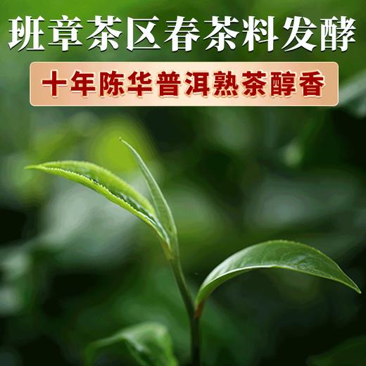 十年陈普洱熟茶干仓老茶500g/箱 商品图4
